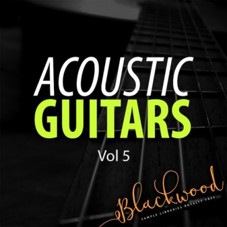 Acoustic Guitars Vol 5 - исполненные в живую сэмплы акустической гитары