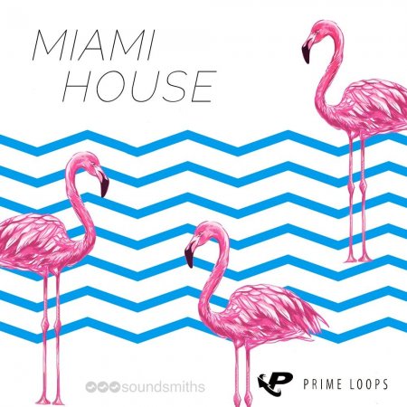 Miami House - коллекция one-shot сэмплов и лупов для House продюсеров
