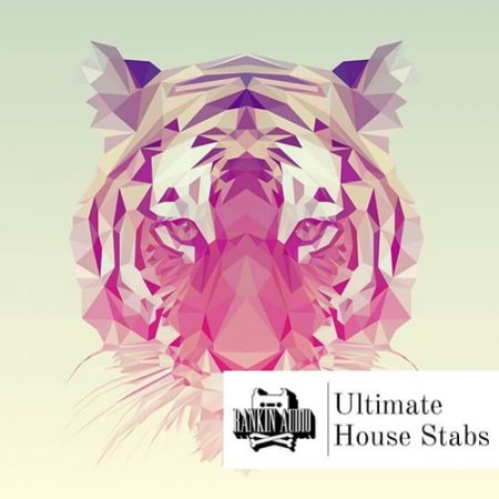 Ultimate House Stabs - сэмплы аккордов для House и Techno